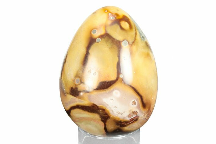 Polished Polychrome Jasper Egg - Madagascar #245686